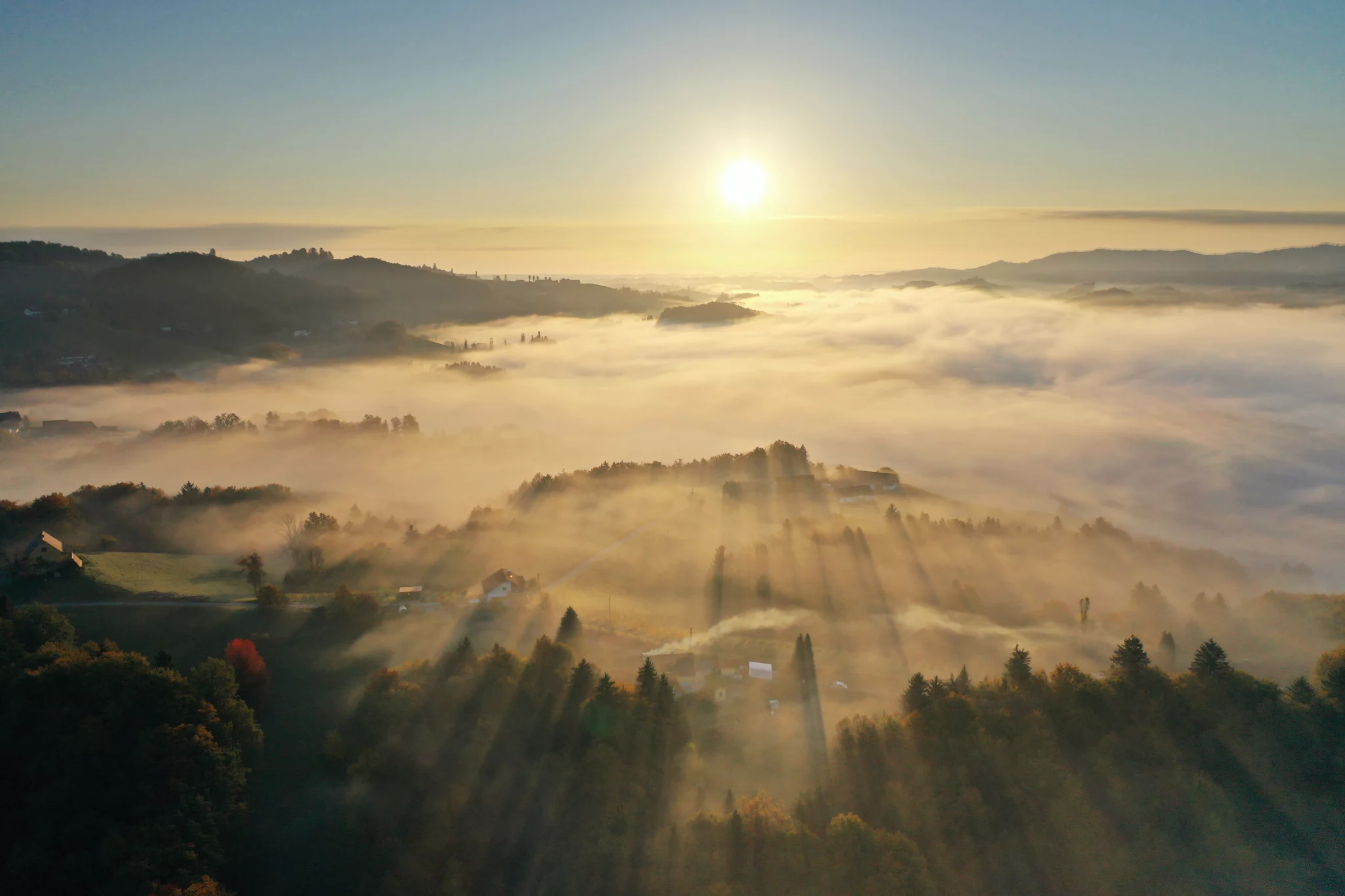 Luftaufnahme der Weinberge rund um den Wurzenberg